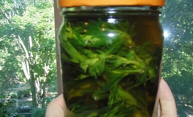 Herba Tincture Untuk Mengeluarkan Parasit Dari Badan