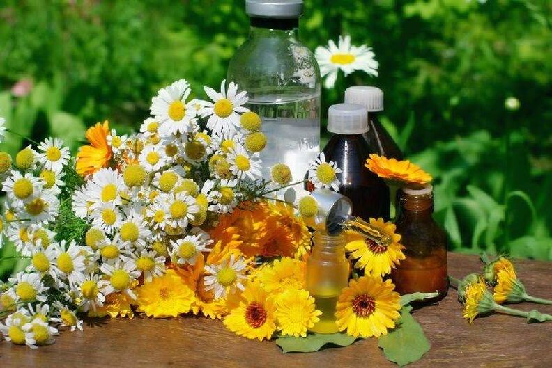 Remedy terhadap parasit